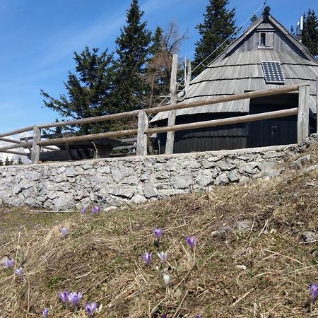 Chalet Resa - Velika Planina Stahovica Luaran gambar