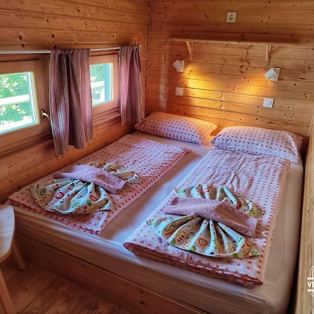 Chalet Resa - Velika Planina Stahovica Luaran gambar