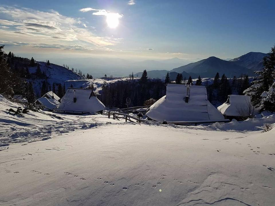 Chalet Resa - Velika Planina Stahovica Luaran gambar