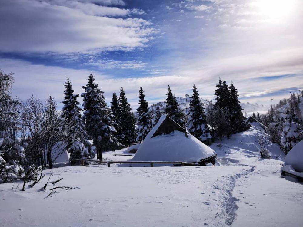 Chalet Resa - Velika Planina Stahovica Luaran gambar