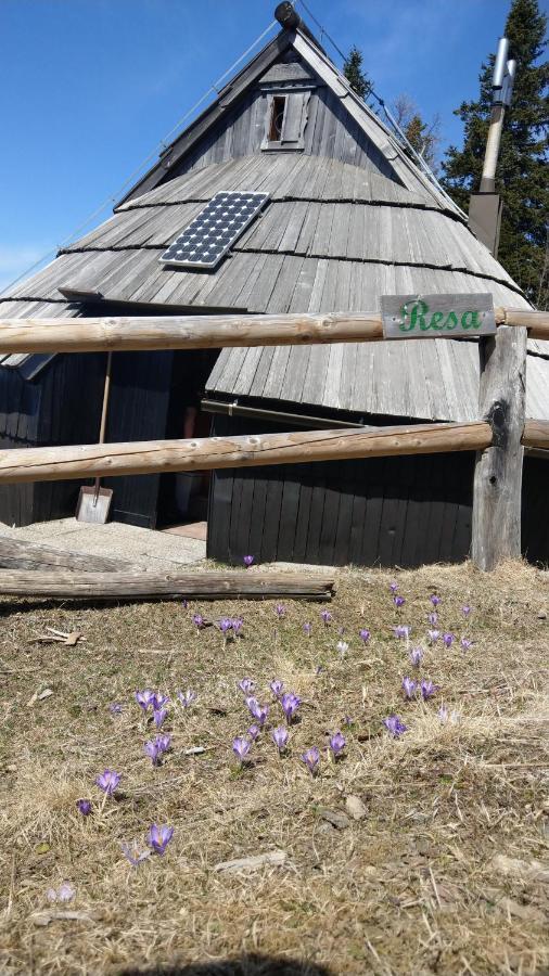 Chalet Resa - Velika Planina Stahovica Luaran gambar